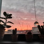 laurar OnlyFans Leak 

 profile picture