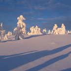 Onlyfans leaks lemod6 

 profile picture