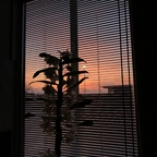 Onlyfans leak lilytheles 

 profile picture