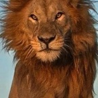 Onlyfans leak lionel77 

 profile picture