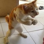 longstrokes_wetpussy OnlyFans Leak 

 profile picture