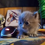 Download mj1997 OnlyFans content for free 

 profile picture