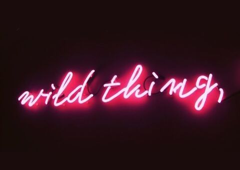 Header of mknude