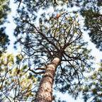 mr_anderson11 OnlyFans Leaked Photos and Videos 

 profile picture