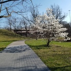 Onlyfans leaks msc14607 

 profile picture