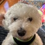 Download my_only_king OnlyFans leaks for free 

 profile picture