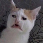 mypartner (PartnerOfBluebell) free OnlyFans content 

 profile picture