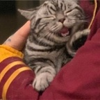 nerdnug OnlyFans Leaked Photos and Videos 

 profile picture