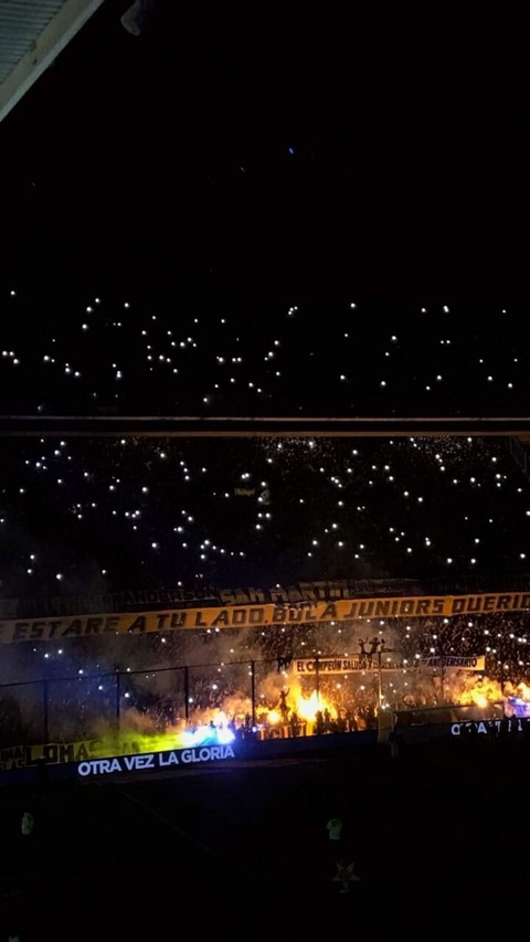 Header of nicolinas