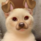 noonz (n00nz) OnlyFans Leaked Content 

 profile picture