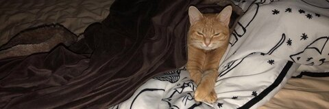 Header of oaklee