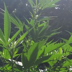 Download oss10001110101 OnlyFans leaks for free 

 profile picture