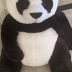 pandasticpron (Pwanda) free OnlyFans Leaked Videos and Pictures 

 profile picture