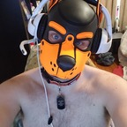 pup-patches (Patches the Pumpkin King) OnlyFans content 

 profile picture