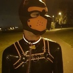 pup_qu1nn (Quinnlyn) OnlyFans Leaked Pictures and Videos 

 profile picture