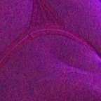 Amber (pussypoppinkween420) Leak OnlyFans 

 profile picture