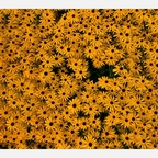 rainminina OnlyFans Leaked 

 profile picture