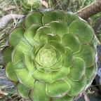 Onlyfans leaks ravebaexxx 

 profile picture