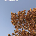 Onlyfans leaked robinbird 

 profile picture