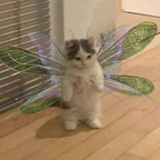 Download sanrioh0e OnlyFans leaks for free 

 profile picture