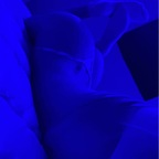 Sarah miller (sarahmiller8) Leak OnlyFans 

 profile picture