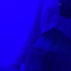 sarahxxx_03 (✨Sarah✨) free OnlyFans content 

 profile picture