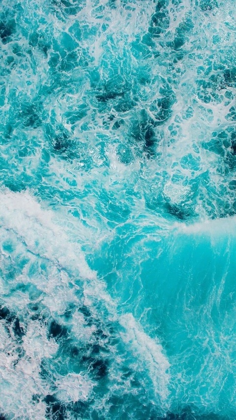 Header of sare.johnston