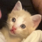 skinnybonestwink OnlyFans Leaked Photos and Videos 

 profile picture