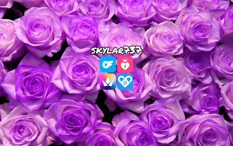 Header of skylar737