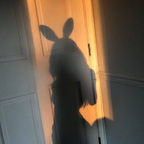 stormihehe OnlyFans Leaked 

 profile picture