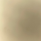 tashathrasher01 (Tasha) OnlyFans Leaked Videos and Pictures 

 profile picture