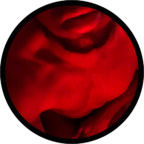 theb00tybandit (BoobooBrown) free OnlyFans Leaks 

 profile picture