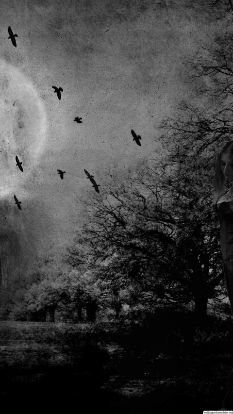 Header of tiedchaton