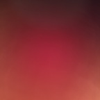 toptiertoes OnlyFans Leaked Photos and Videos 

 profile picture