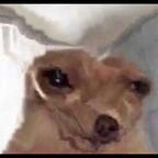 Onlyfans leaks trinidy 

 profile picture