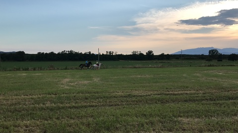 Header of twink20_01