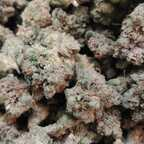 u24004959 OnlyFans Leaks 

 profile picture