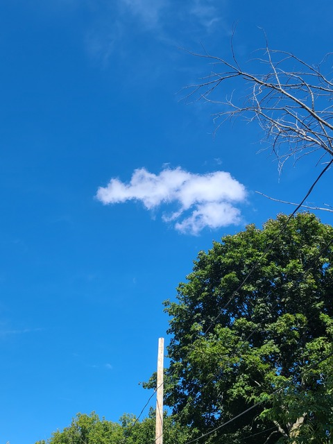 Header of u273544939