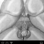 u32959469 (Zayy2Nastyy) OnlyFans Leaks 

 profile picture
