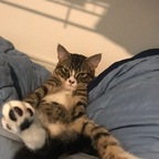 Download u3p0rnkitty OnlyFans content for free 

 profile picture