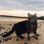 Small mushroom u42032269 Leaked OnlyFans 

 profile picture