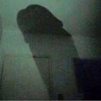 u67313403 OnlyFans Leaked 

 profile picture
