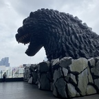 Download u76679181 OnlyFans leaks for free 

 profile picture