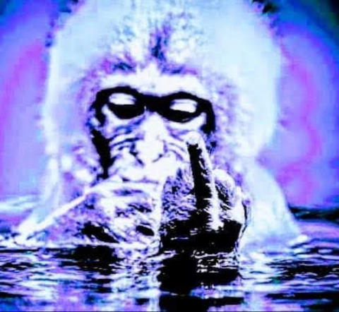 Header of wet-monkey