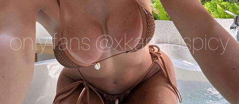 Header of xkamilaspicy