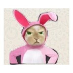 yanela (nenaa 🥰) free OnlyFans Leaked Content 

 profile picture