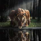 zeekuchiha OnlyFans Leaked Photos and Videos 

 profile picture