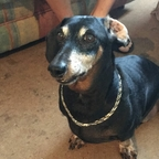 zerdboy2 OnlyFans Leak 

 profile picture