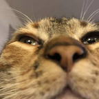 zoppa OnlyFans Leaked 

 profile picture